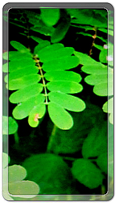 2de2d5d4a5cd51950d9e57b3ba0d077b_1457098