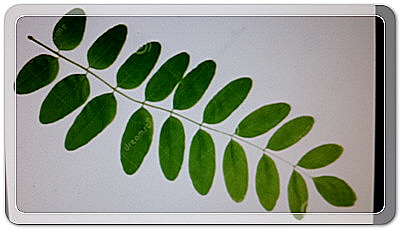 2de2d5d4a5cd51950d9e57b3ba0d077b_1457098