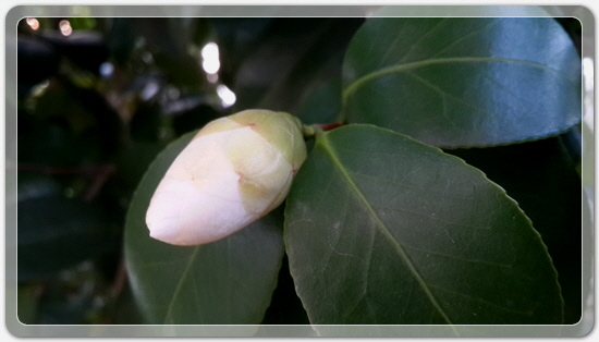 373fba50b7449bdeb3eaa7ba123019ca_1459423