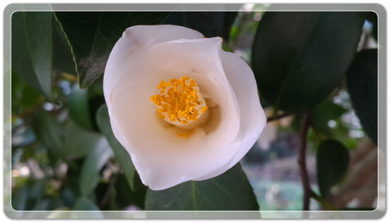 373fba50b7449bdeb3eaa7ba123019ca_1459423