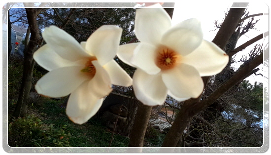 373fba50b7449bdeb3eaa7ba123019ca_1459423