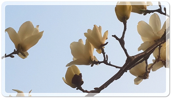 373fba50b7449bdeb3eaa7ba123019ca_1459423