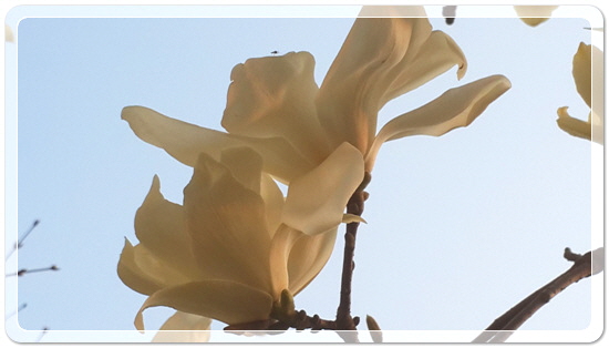 373fba50b7449bdeb3eaa7ba123019ca_1459423