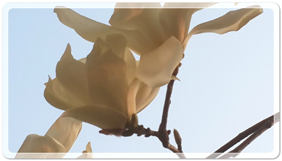 373fba50b7449bdeb3eaa7ba123019ca_1459423