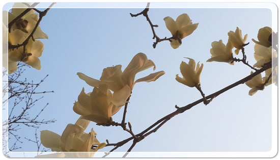 373fba50b7449bdeb3eaa7ba123019ca_1459423