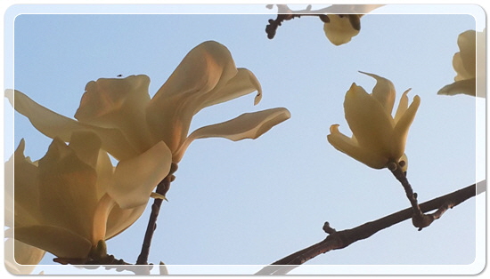 373fba50b7449bdeb3eaa7ba123019ca_1459423