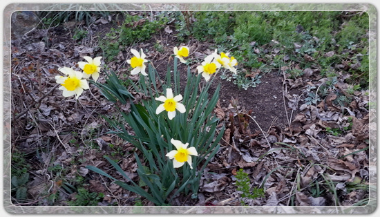 373fba50b7449bdeb3eaa7ba123019ca_1459423