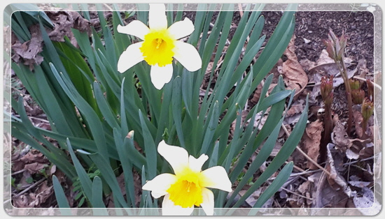 373fba50b7449bdeb3eaa7ba123019ca_1459423