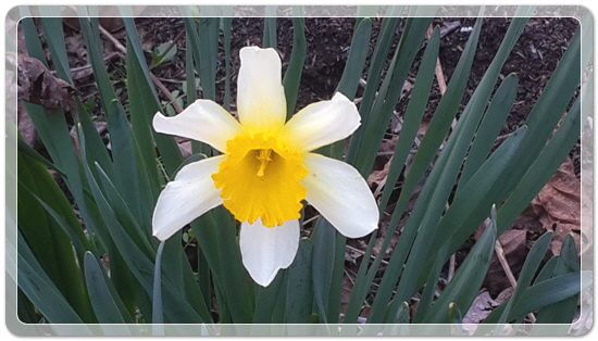 373fba50b7449bdeb3eaa7ba123019ca_1459423