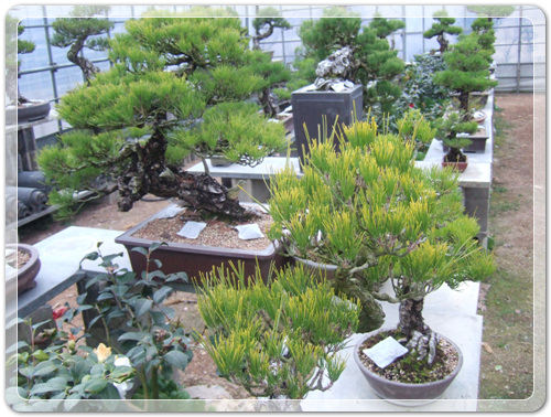 3888ddec3b47c87896d313458ee14ade_1457015