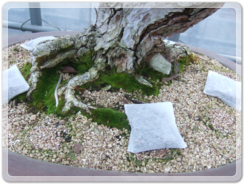 3888ddec3b47c87896d313458ee14ade_1457015