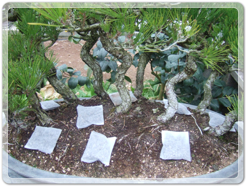 3888ddec3b47c87896d313458ee14ade_1457015