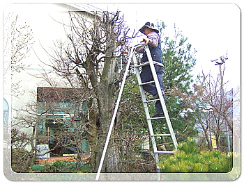 3e1bf066f6c63f6dad37209e9ed97d08_1458563