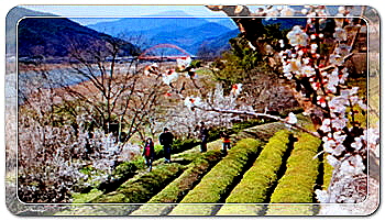 3e1bf066f6c63f6dad37209e9ed97d08_1458563