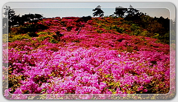 3e1bf066f6c63f6dad37209e9ed97d08_1458563