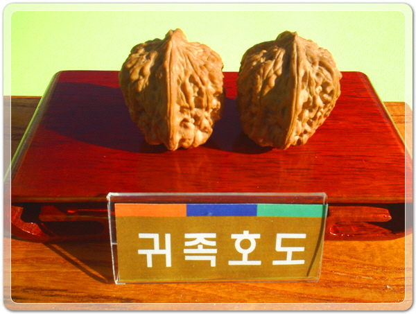 457a901acb8b37e0c882d0ad3b6c3625_1458219