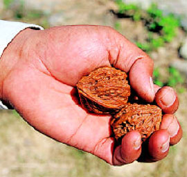 457a901acb8b37e0c882d0ad3b6c3625_1458220