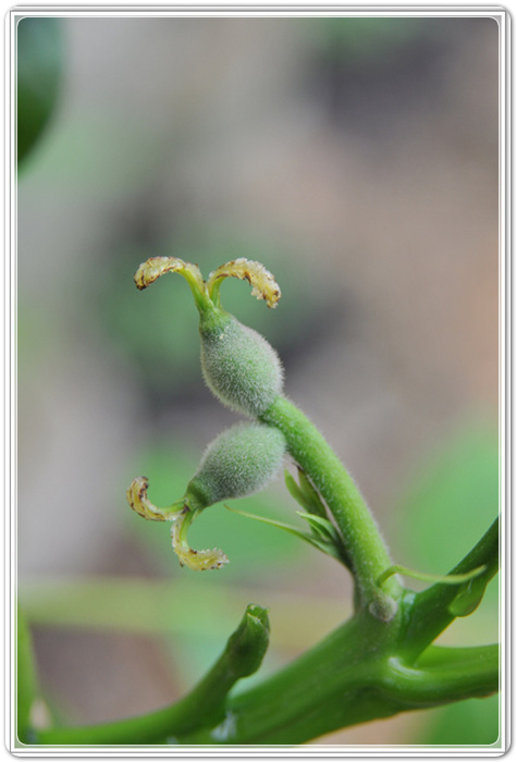 46dea22a8072e607e7a2a1021dee6799_1458131