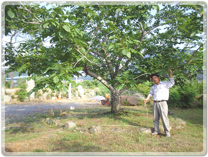 46dea22a8072e607e7a2a1021dee6799_1458131