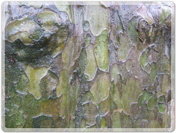 5bdc2cc8ca8a585849d8fdd1f5a20974_1457144