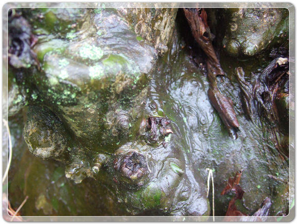 5bdc2cc8ca8a585849d8fdd1f5a20974_1457144