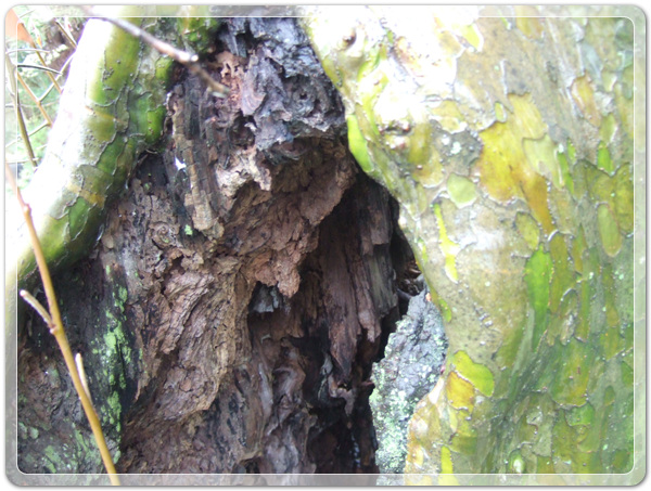 5bdc2cc8ca8a585849d8fdd1f5a20974_1457144