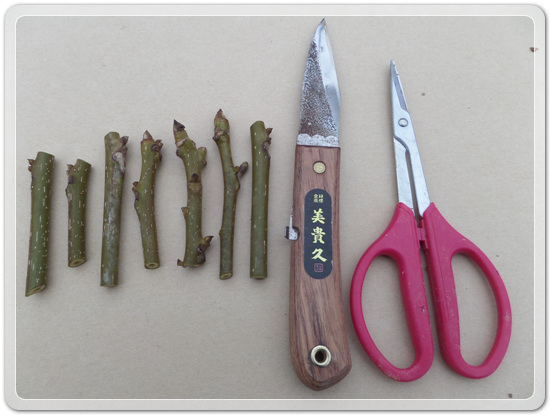 5f11872e3b873fd37dd903061959d5f8_1458311