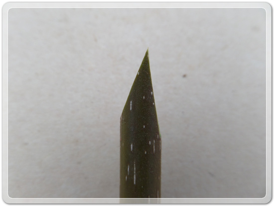 5f11872e3b873fd37dd903061959d5f8_1458311