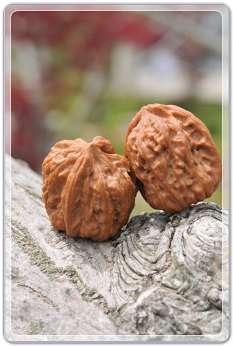 667dbd6a1e8f88cdae1f55f24e344045_1458914