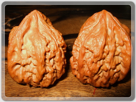 6edb61709171475e5c70c43f0c8eca17_1456916