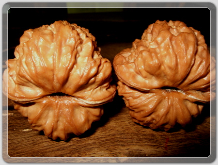 6edb61709171475e5c70c43f0c8eca17_1456916