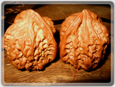 6edb61709171475e5c70c43f0c8eca17_1456916