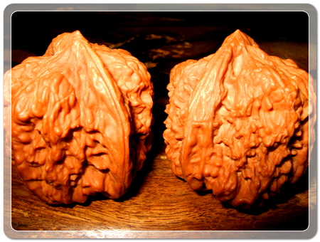 6edb61709171475e5c70c43f0c8eca17_1456916