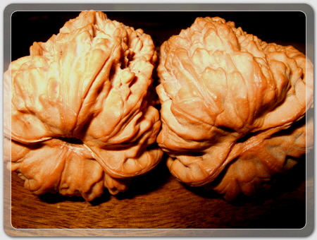 6edb61709171475e5c70c43f0c8eca17_1456916