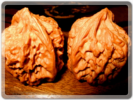 6edb61709171475e5c70c43f0c8eca17_1456916