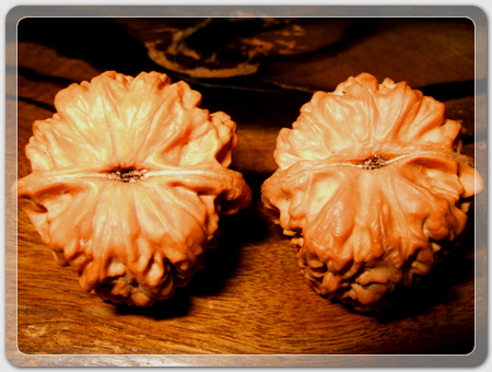 6edb61709171475e5c70c43f0c8eca17_1456916