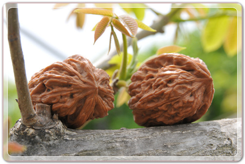 70169da37b22264dc2db365a1bbf7059_1456977