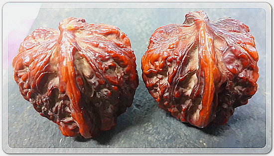 7698f47807ec49879b415f7b0919c8ce_1457438