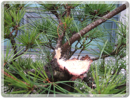 7de126b145f22185463178b3ffc97862_1457525