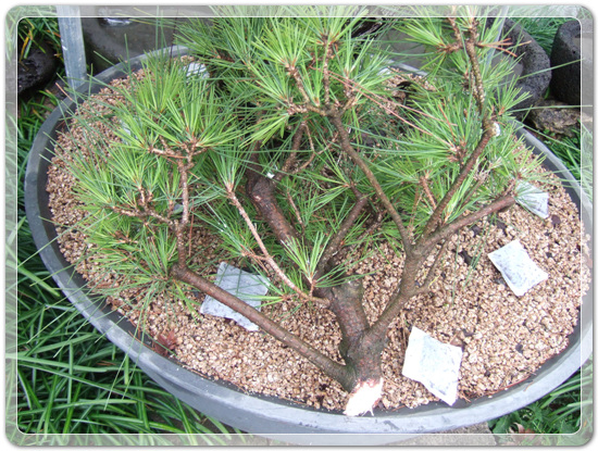 7de126b145f22185463178b3ffc97862_1457525