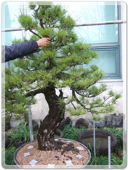 7de126b145f22185463178b3ffc97862_1457525