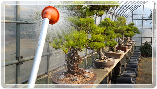 87c1f15780cdc441fb423c50814b1eb1_1459078