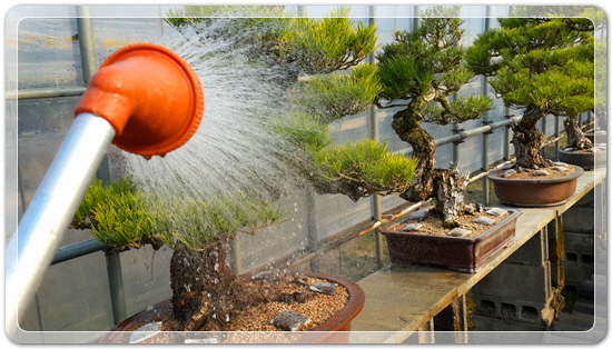 87c1f15780cdc441fb423c50814b1eb1_1459078