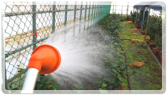 87c1f15780cdc441fb423c50814b1eb1_1459078