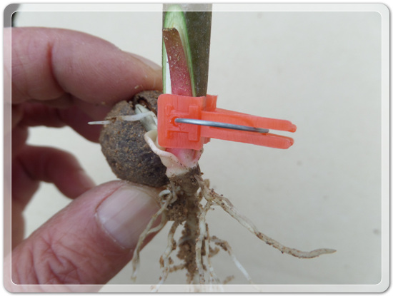 a43c0783f06185e7d191d41c7b4b82f1_1458339