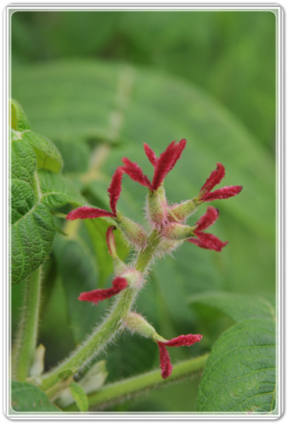 bd125e97d3e3fcc274bda842ff0b828a_1457874