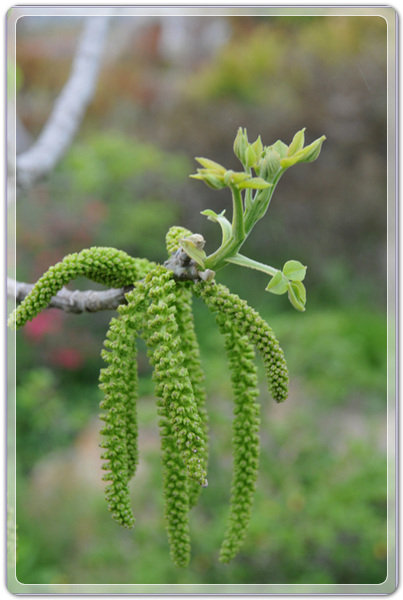 bd125e97d3e3fcc274bda842ff0b828a_1457874