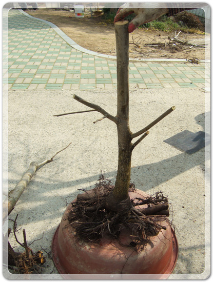 c31a3078b239c0b2d5fb5516cb7b1176_1458992