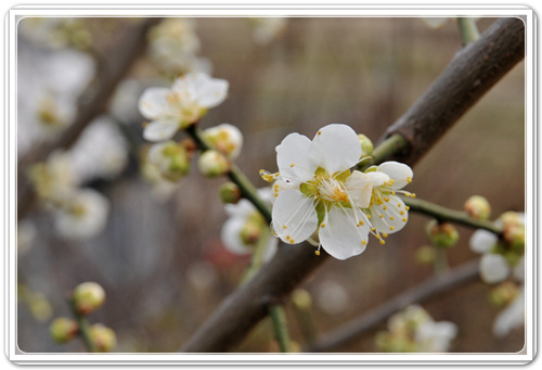 c8326306713cdeb52ed5a969d6d921c1_1456803