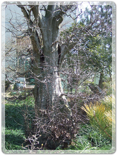 c8326306713cdeb52ed5a969d6d921c1_1456803